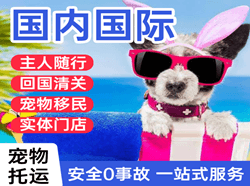 固原六盘山机场邮寄国际宠物托运 【国